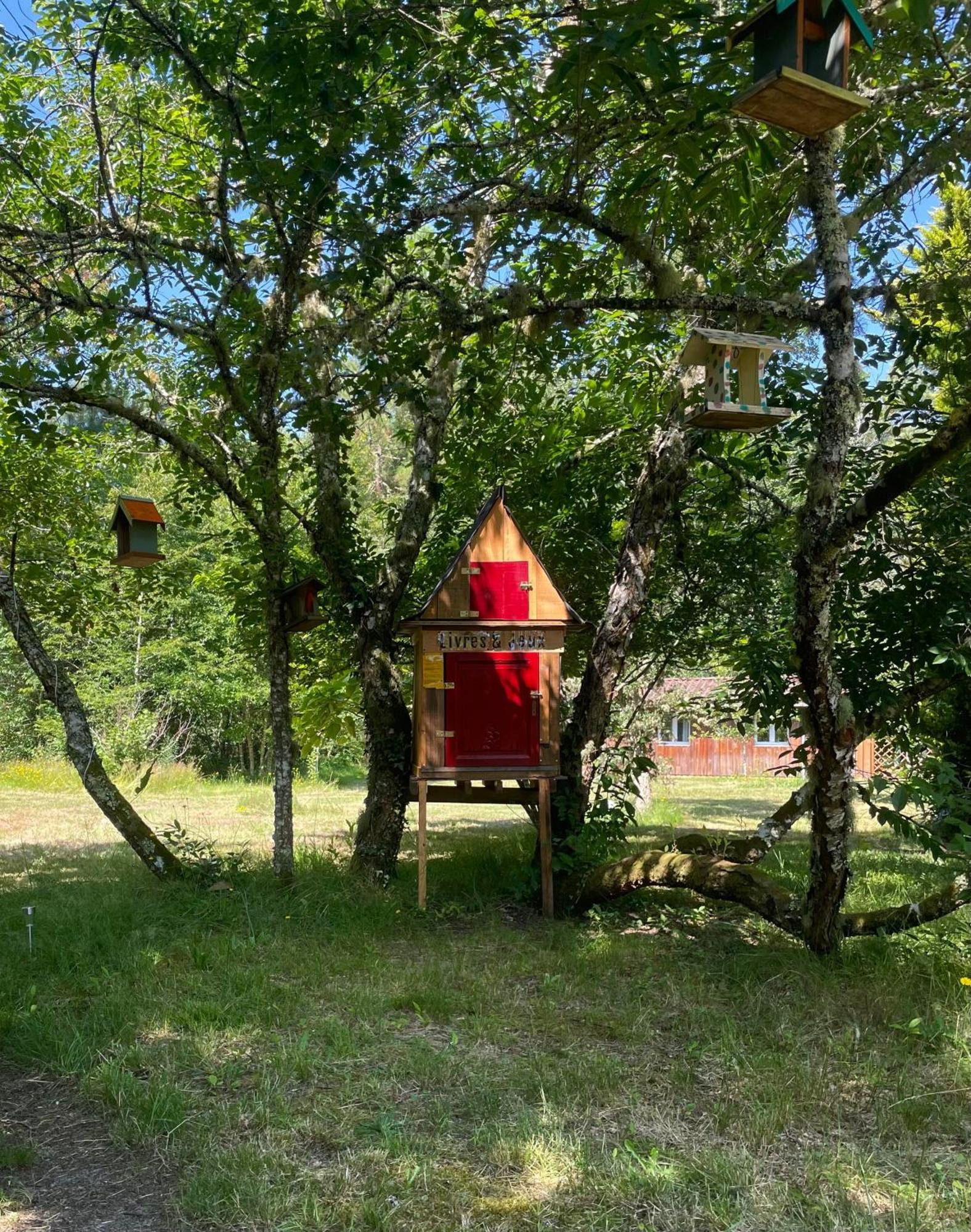 Cabane Au Milieu Des Pins - Domaine Temali Labouheyre Eksteriør bilde